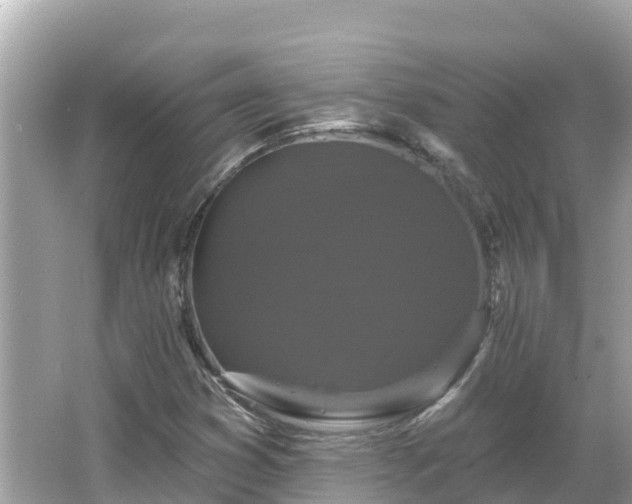 X0000066011353200603101546