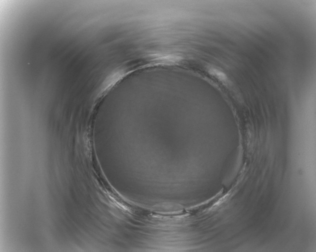 X0000066011354200603101546