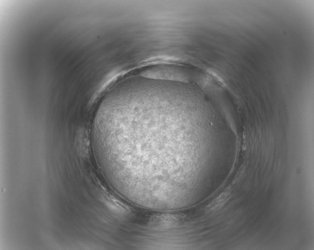 X0000066011355200603101546