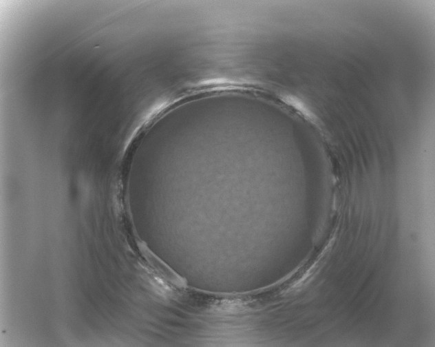 X0000066011357200603101546