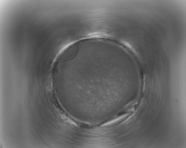 X0000066011358200603101546