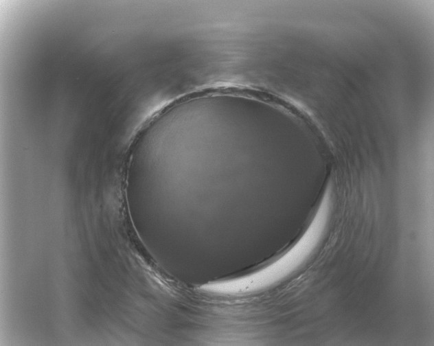 X0000066011359200603101546