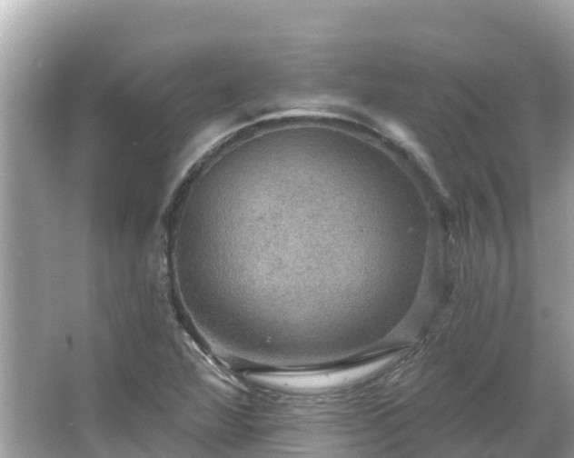 X0000066011360200603101546