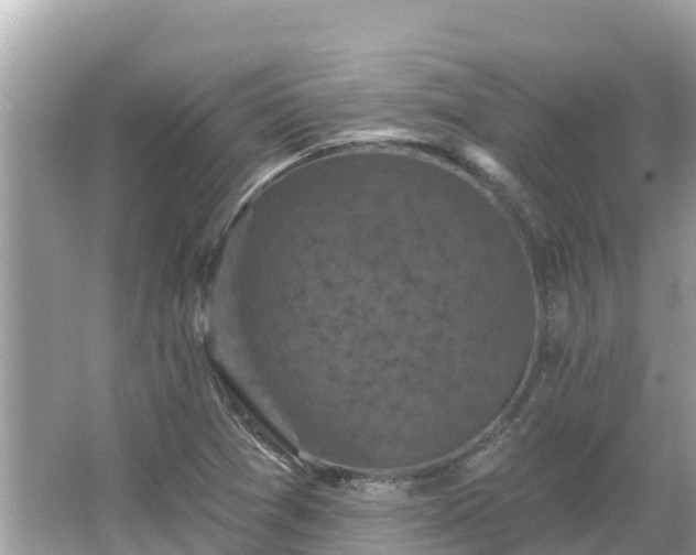 X0000066011361200603101546