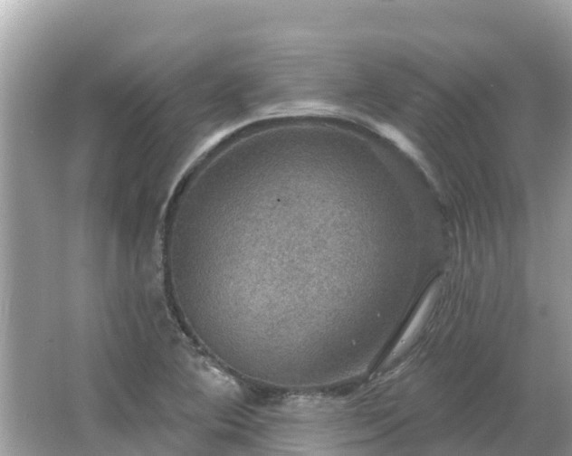 X0000066011364200603101546