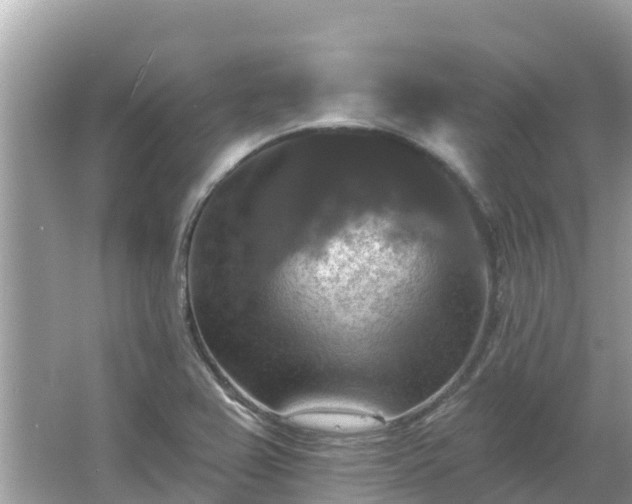 X0000066011367200603101545