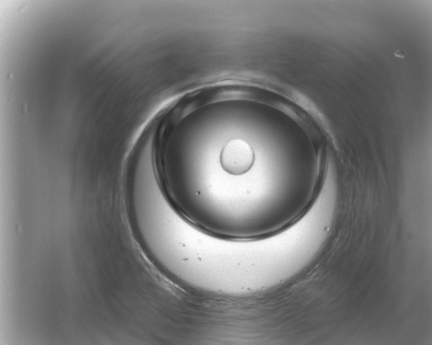 X0000066011368200603101545