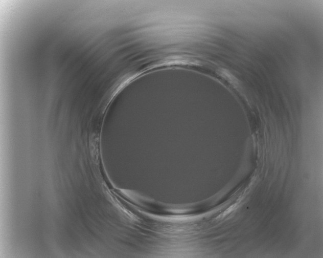 X0000066011369200603101545