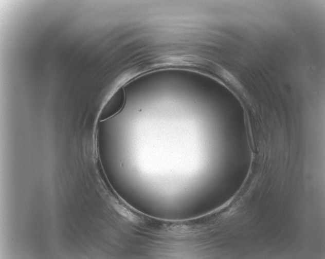 X0000066011370200603101545