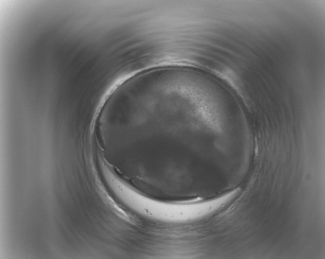 X0000066011371200603101545