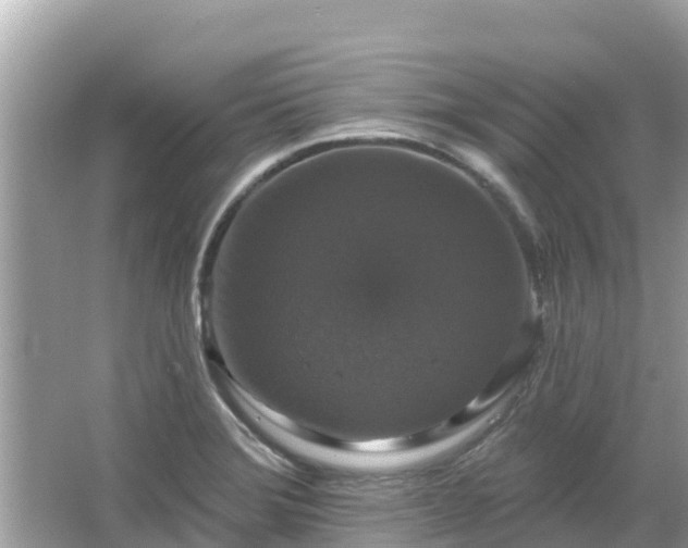 X0000066011372200603101545