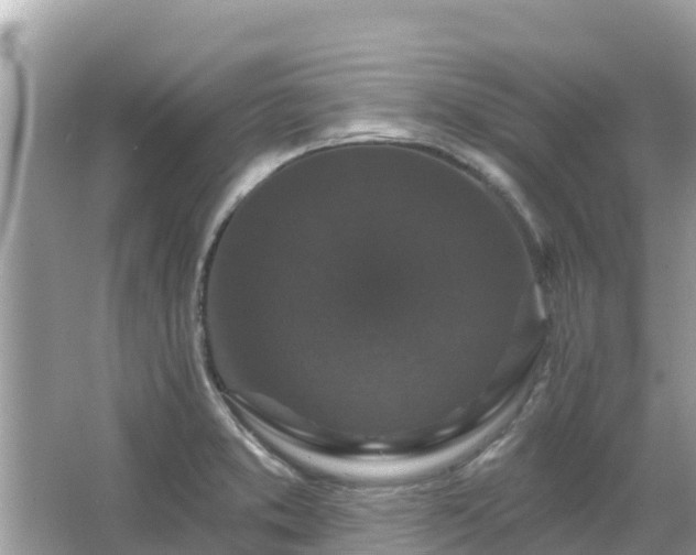 X0000066011373200603101545