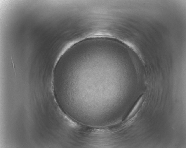 X0000066011374200603101545