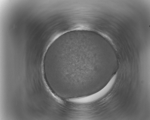 X0000066011375200603101545