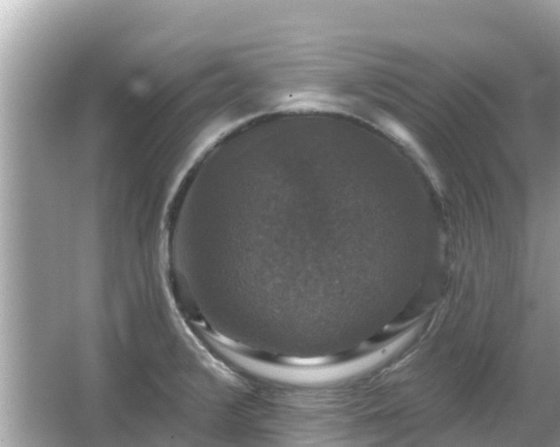 X0000066011376200603101545