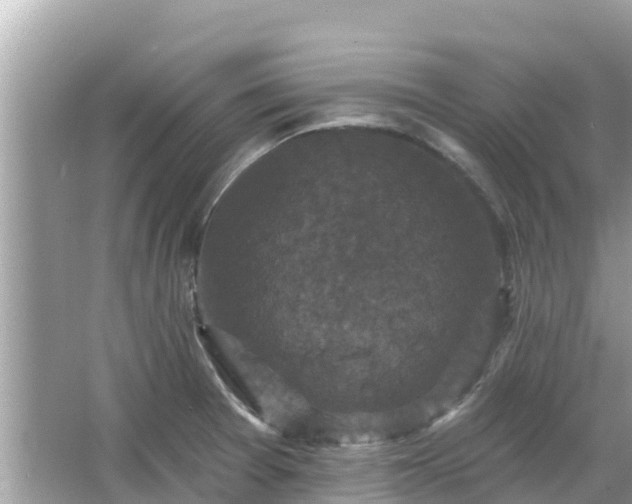 X0000066011377200603101545