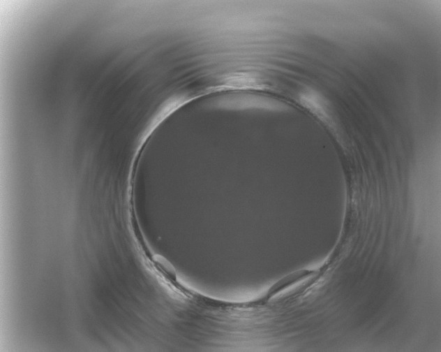 X0000066011378200603101545