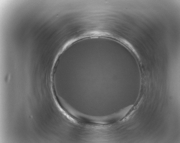 X0000066011381200603101545