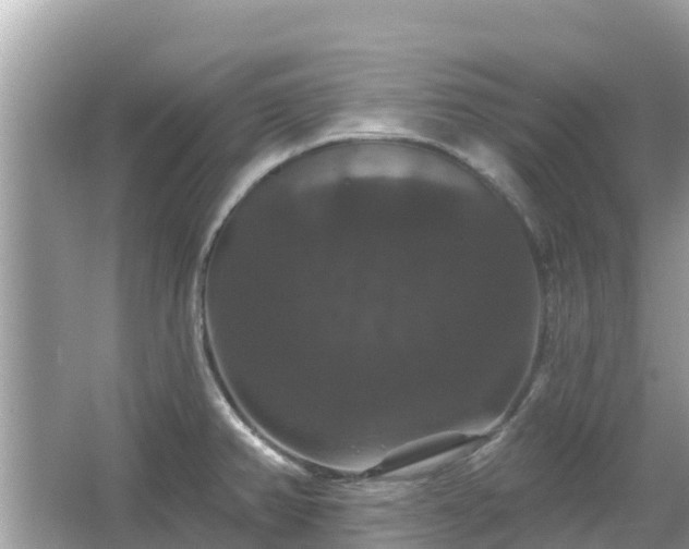 X0000066011382200603101545