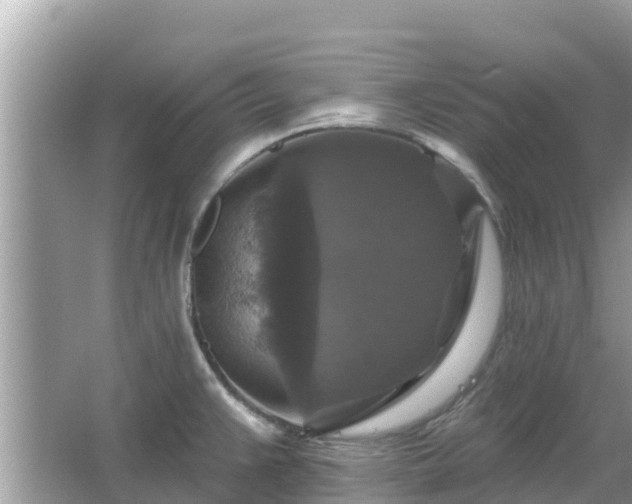 X0000066011383200603101545