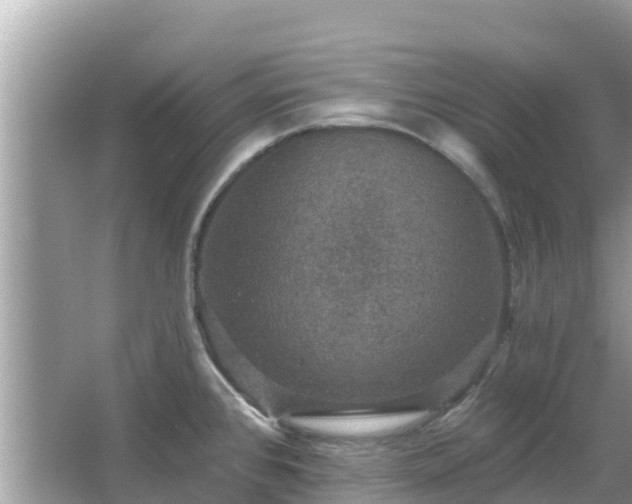 X0000066011384200603101545