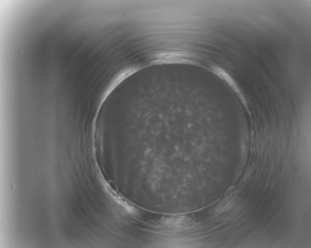 X0000066011386200603101545