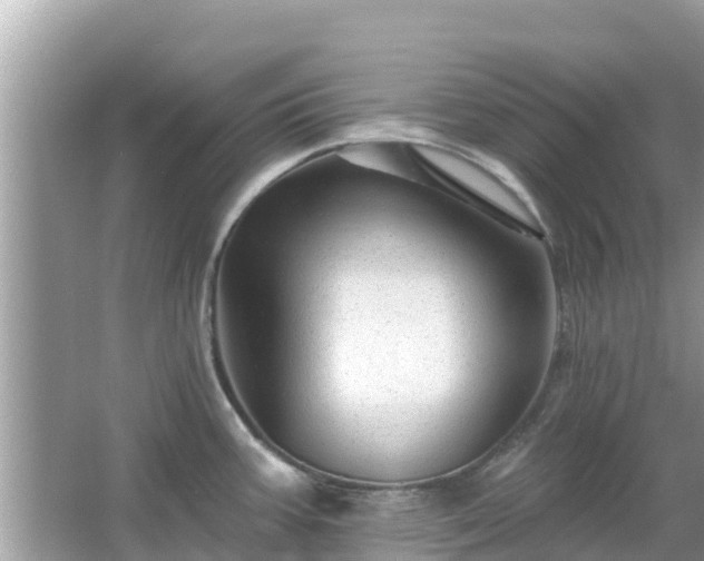 X0000066011387200603101545