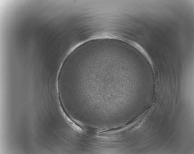 X0000066011388200603101545