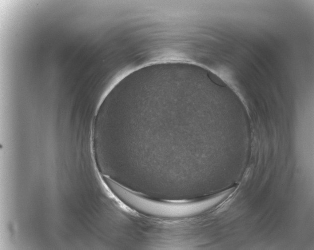 X0000066011390200603101545