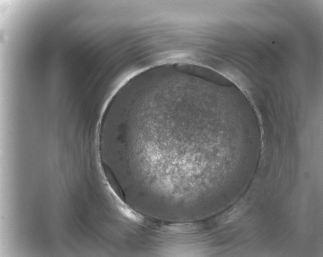 X0000066011392200603101545