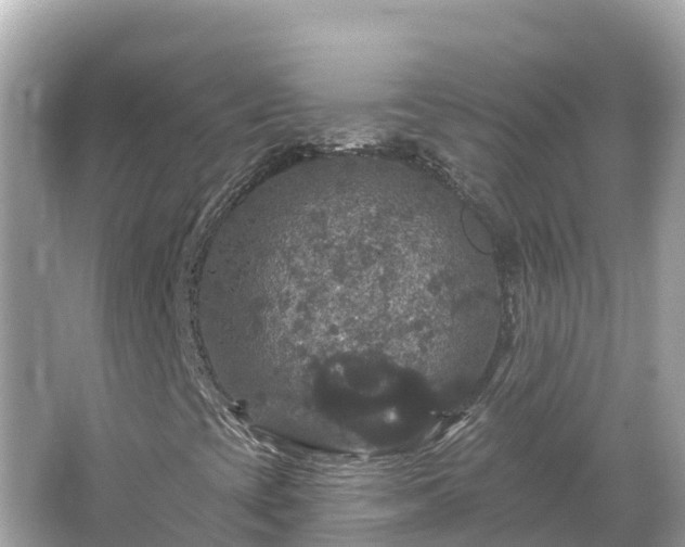 X0000066011393200603101544