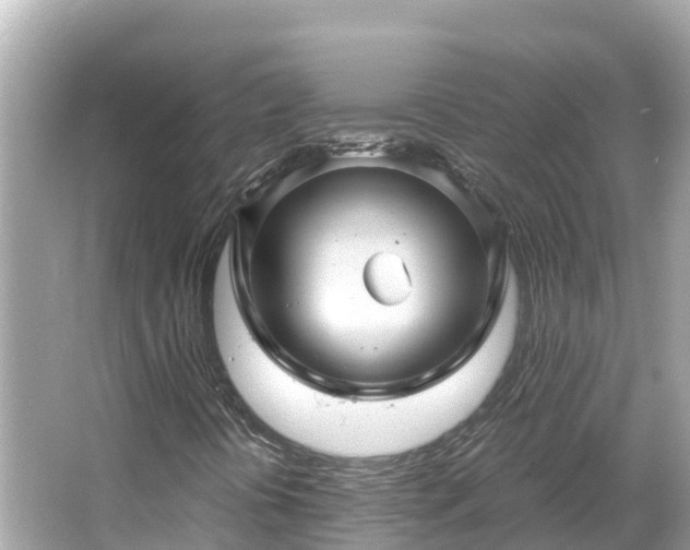 X0000066011394200603101544