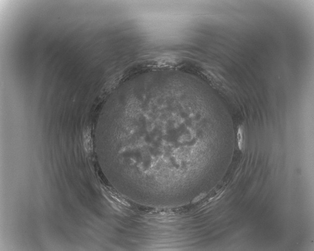 X0000066011395200603101544