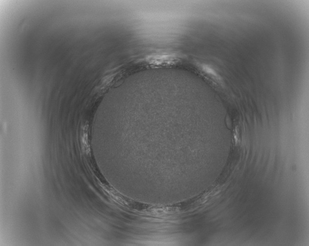 X0000066011396200603101544