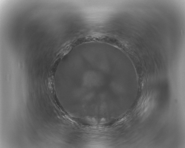 X0000066011397200603101544