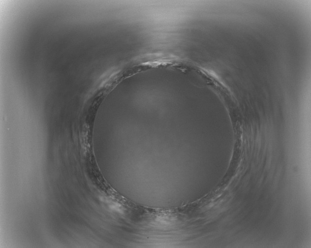 X0000066011399200603101544