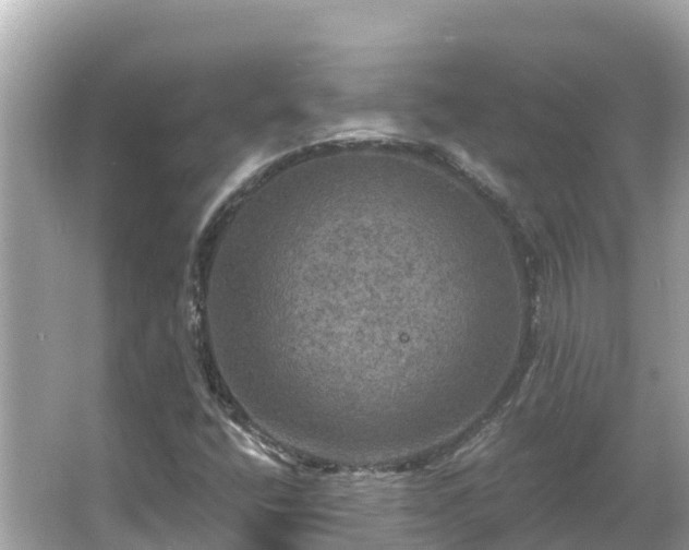 X0000066011400200603101544