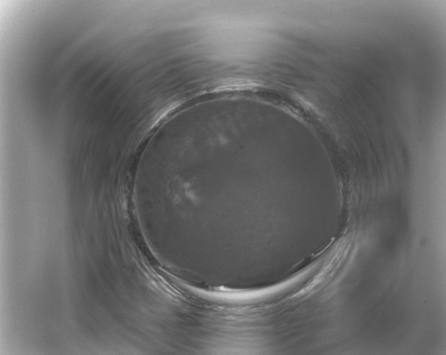 X0000066011401200603101544