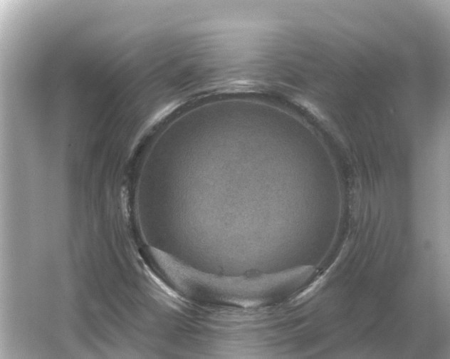 X0000066011402200603101544