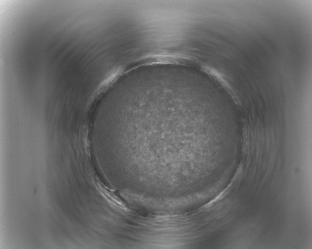 X0000066011403200603101544