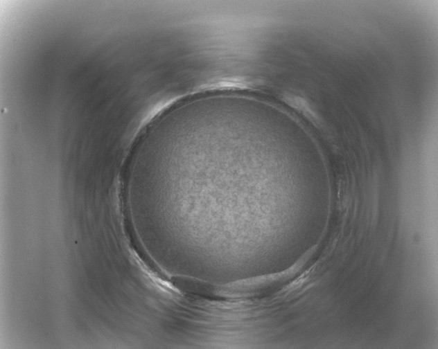 X0000066011404200603101544