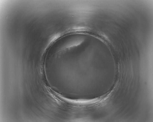 X0000066011405200603101544