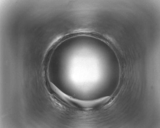 X0000066011406200603101544