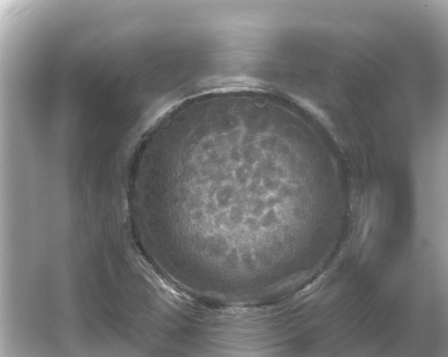 X0000066011407200603101544