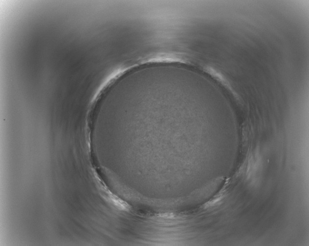 X0000066011408200603101545