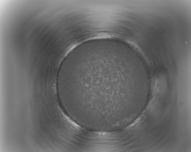 X0000066011409200603101545