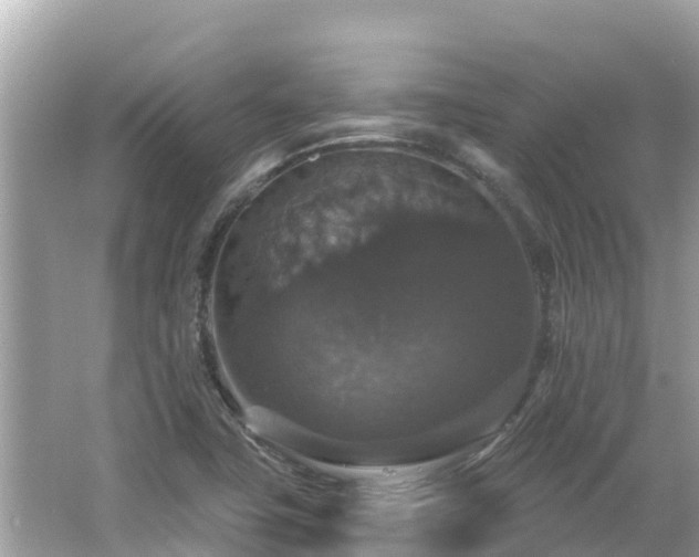 X0000066011411200603101545