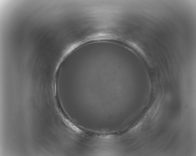 X0000066011413200603101545