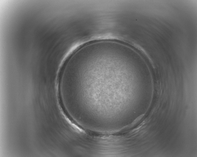 X0000066011416200603101545