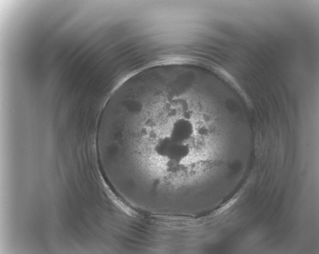 X0000066011417200603101545